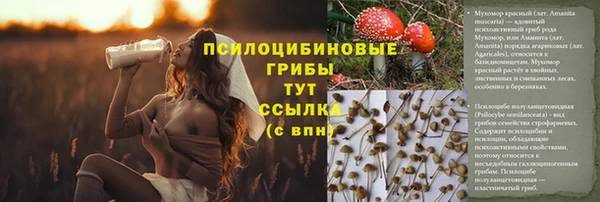 кристаллы Алексин