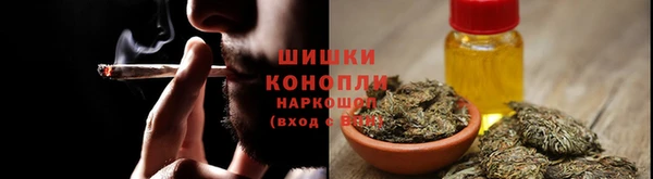 дмт Арсеньев