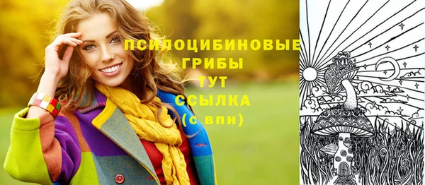 СК Алексеевка