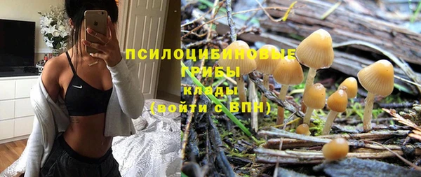 дмт Арсеньев