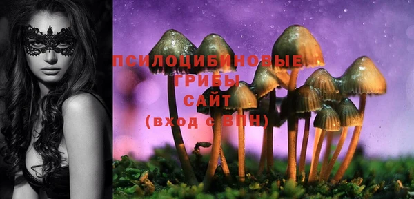 дмт Арсеньев